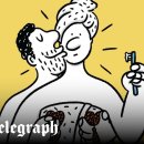 LOVELY DAY'S GROOMING 이미지