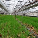 호동농장 이미지