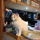 보리쌀롱 이미지