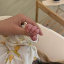 오순희 | 부산 산후도우미 업체 추천 : 부산 금줄 3주 후기