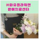 화유플라워앤원예치료센터 | 광진 화유플라워앤원예치료센터 부부의날행사