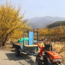 김밥나라 월계점 | 3월 봄의 시작을 알리는 전라남도 2박3일 여행 / 반려견 출입가능한 여행지