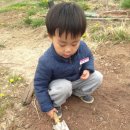 조양농원 이미지