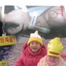 성심맹아원 이미지