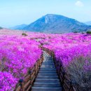 월송슈퍼 이미지