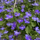 리빙모텔 | 352일. 홍콩 가면 이 게하는 피하세요.