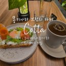 브런치카페여유 | 몽키아라 브런치 카페 Cotta 후기 | 혼자 여유롭게 즐기기 좋은 숨은 브런치 맛집