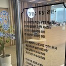 이영수 고양이 병원 이미지