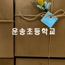 운송초등학교 이미지