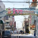 용현동물텀벙이거리 이미지