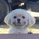 (재)평화방송 | 현역가왕 콘서트 4번 본 사람이 쓰는 후기...