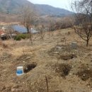 중광농장 이미지