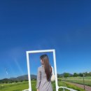 칠서-4 | [공지] 함안 칠서 청보리 작약 축제 실시간 후기 (지금 안 가면 늦는다.사람 몰리기 전 추천)