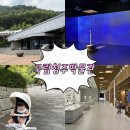 [청주 아이랑 가볼만한곳] 국립청주박물관 11개월 아기랑 방문 후기 ! (feat. 상설전시 빛·울림·힘-금속)