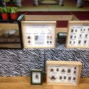 늘품자연유치원 이미지