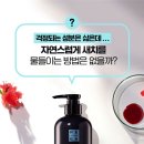 리엔 이미지