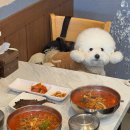 딱봐도맛집 | 대부도 애견동반식당 딱봐도맛집 해장하기 좋은 닭개장 맛집