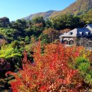 보화로움