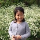 서윤의숲길 이미지