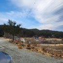 양양하조대마당넓은밤하늘별빛펜션 이미지