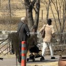 광주광역시청 시민숲둥지 | 홍상수 김민희 혼외아들 육아 하남 공원에서 유모차 끄는 충격 근황! 아들 실물 후기까지