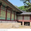 궁궐 티스토리