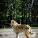 원길농장 이미지