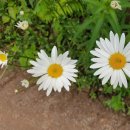 홍천산골놀이터 이미지