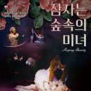 동화발레 <잠자는 숲속의 미녀> 이미지