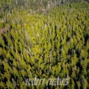 성창통신(주) 이미지