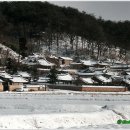 알품는 마을