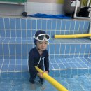 생존수영) 백업 🏊 이미지