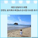 수산시장 | 아이랑 태안 당일치기 여행 1탄 안면도 꽂지해수욕장 &amp; 수산시장 다녀온 후기