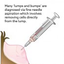 로잔동물의료센터 이미지