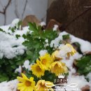 장보경로당 이미지