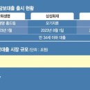 50년 만기 주택 담보대출 추리 현황 이미지