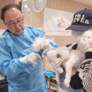 케이디메디칼 뉴스1
