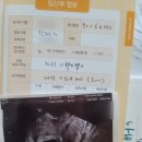 조은서적 이미지