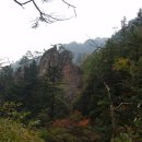 설악산송이