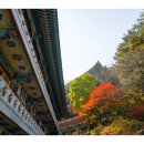 이세계음료
