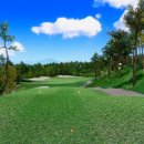 시티타워 스크린골프 이미지