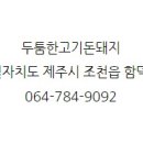 돈돼지 이미지