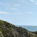 남성반점 이미지