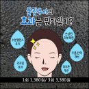 청도영연한미 물광주사 다양한 효과 이미지