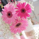 티디컴퍼니 이미지