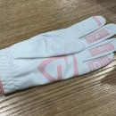 엑스앤글러브 네이버블로그