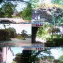 왕신여자고등학교 이미지