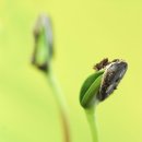 서울종묘농약사 이미지