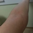 남화당한의원 이미지