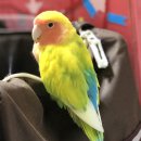 신정1동 주민센터 이미지